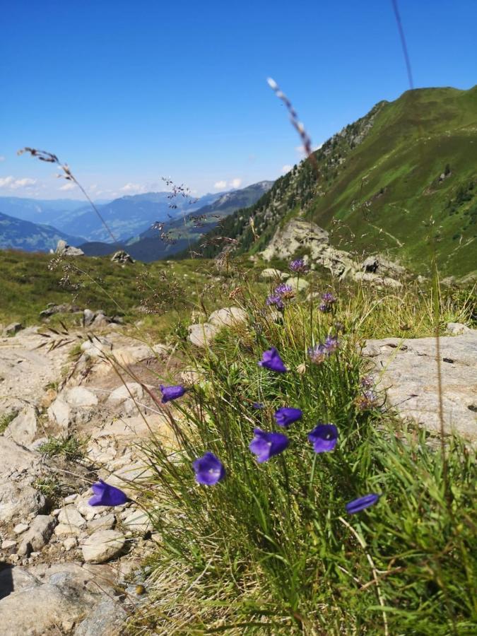 Ferienwohnungen Fichtenheim Mayrhofen Exteriér fotografie